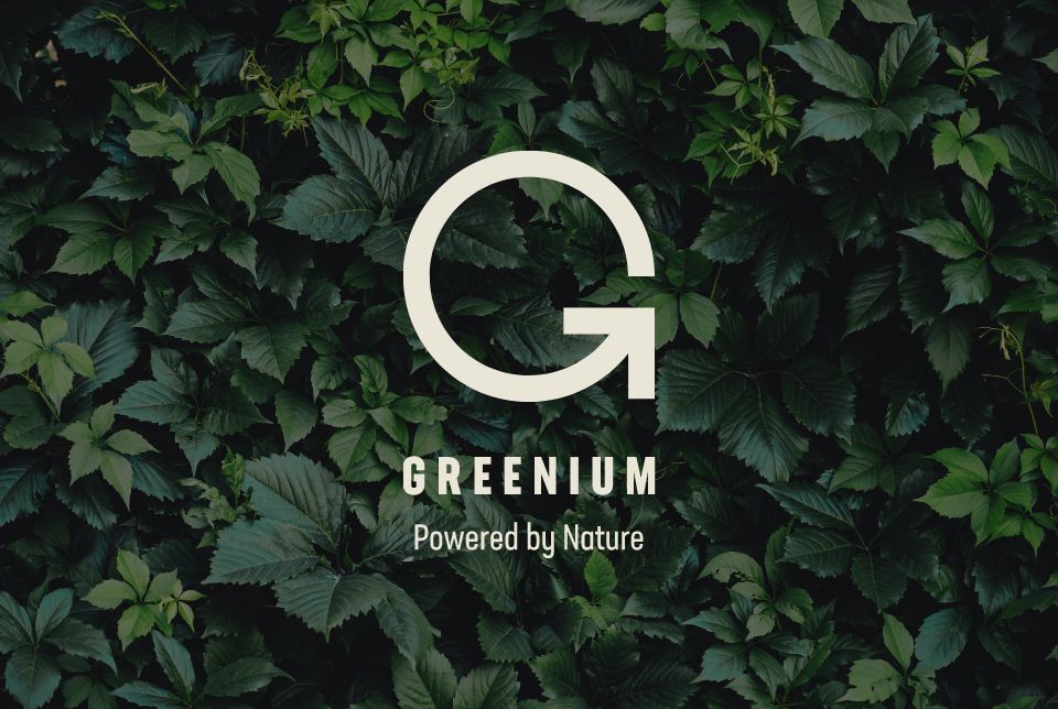 Greenium