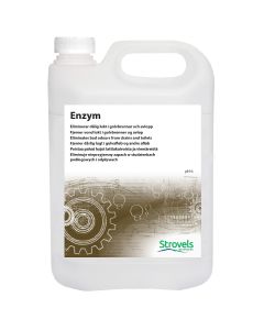 Enzym