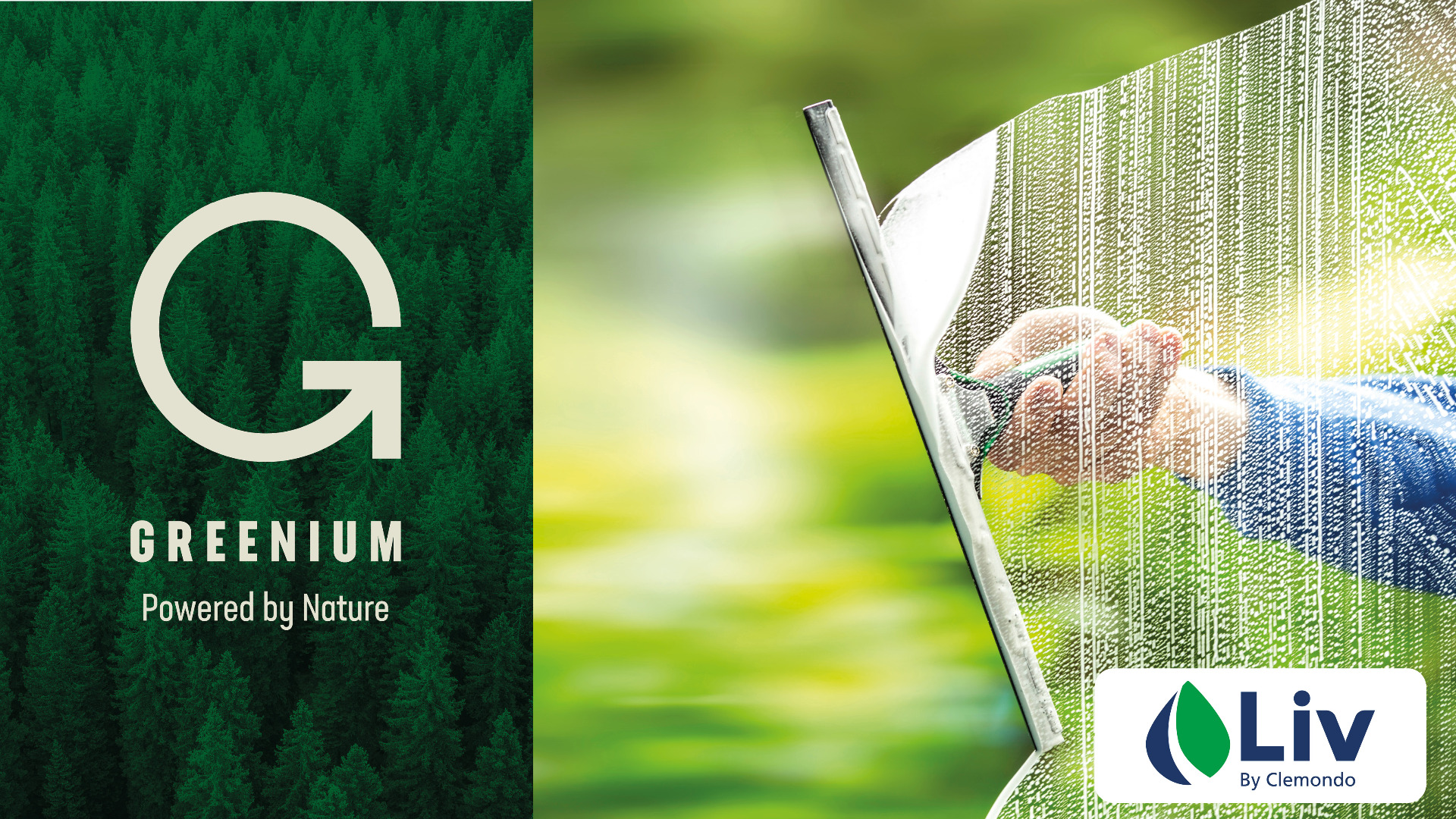 Greenium_F_nsterputs